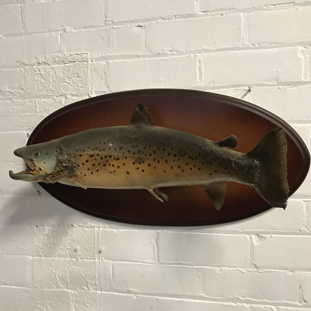 Element-Bazaar-Bric-a-Brac-Mounted-Fish